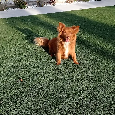 La De Simon En El Camino De Santiago Apartment *