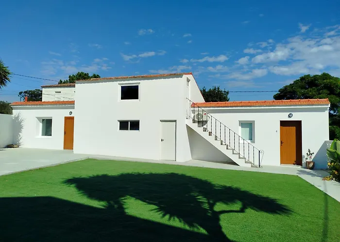 Daire La De Simon En El Camino De Santiago